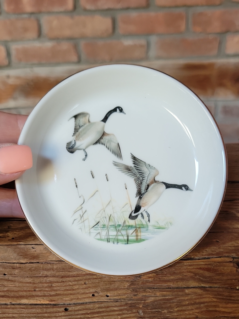 Staffordshire Bone China Goose Motif Trinket Dish Coaster in Cream with Gold Rim